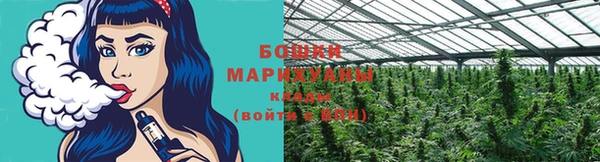 гидра Гусиноозёрск