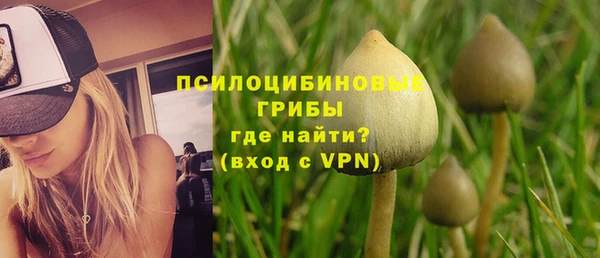 ГАЛЛЮЦИНОГЕННЫЕ ГРИБЫ Горняк