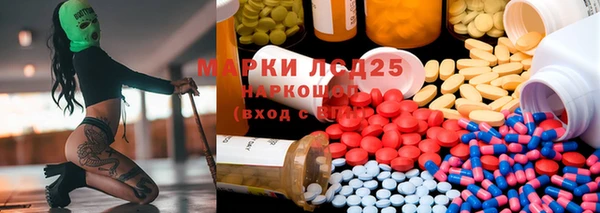 ГАЛЛЮЦИНОГЕННЫЕ ГРИБЫ Горняк