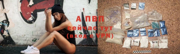 ГАЛЛЮЦИНОГЕННЫЕ ГРИБЫ Горняк