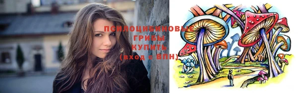 гидра Гусиноозёрск