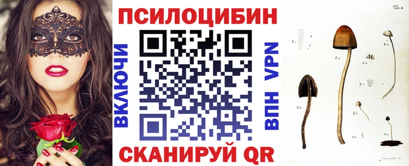 Псилоцибиновые грибы Psilocybe  купить  сайты  Вологда 