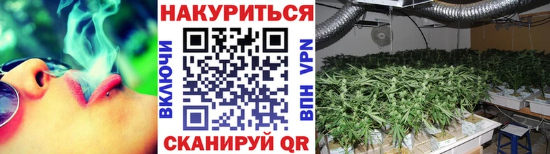 магазин    Вологда  Конопля гибрид 